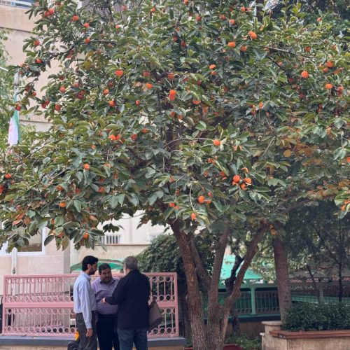 photo_2024-11-19_11-42-04